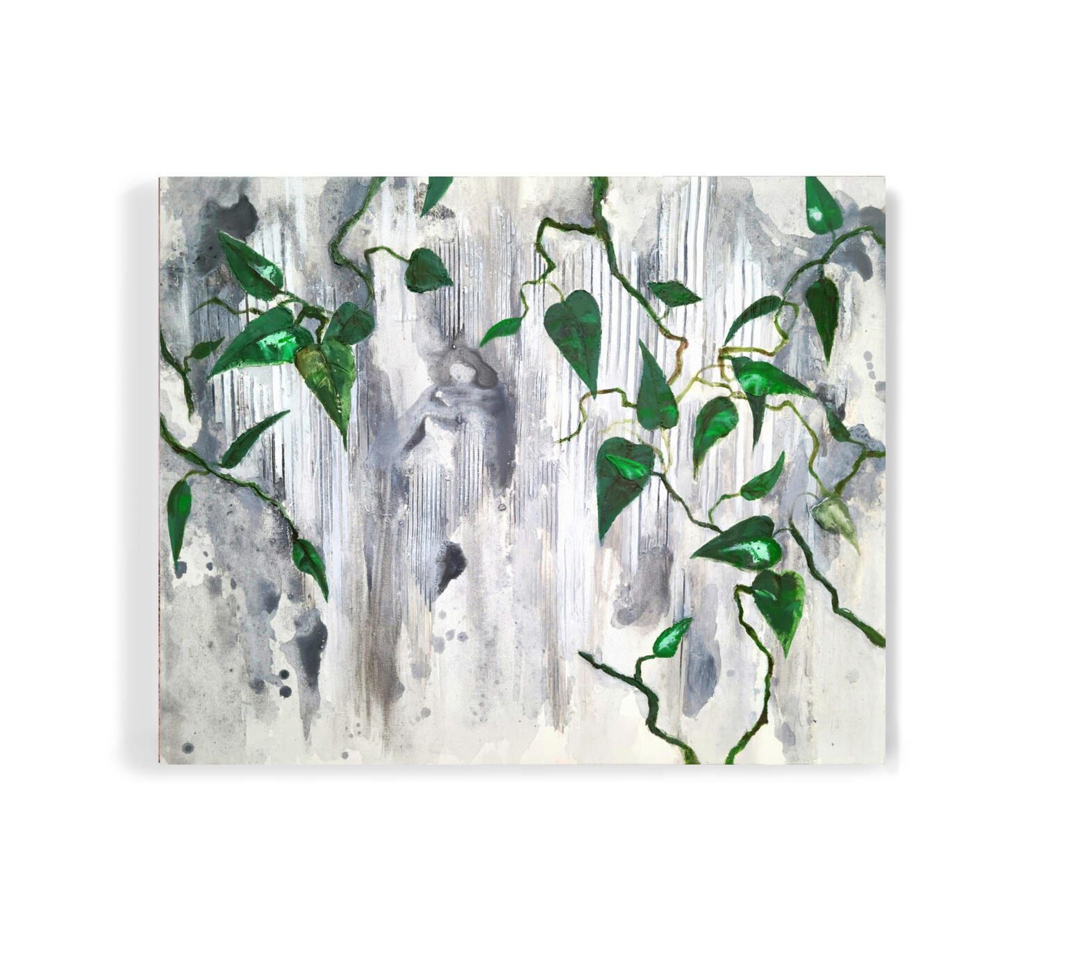 Climbing Pothos | 24 x 30 $800